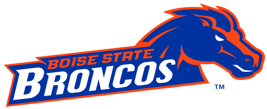 Boise State Broncos 2012-2013 Secondary Logo v3 DIY iron on transfer (heat transfer)